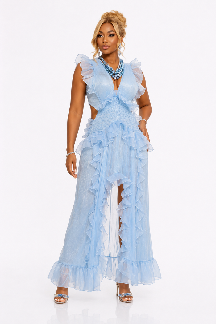 Sheer Elegance- Fashion Dress