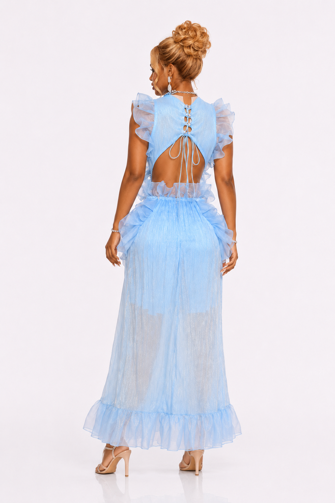 Sheer Elegance- Fashion Dress